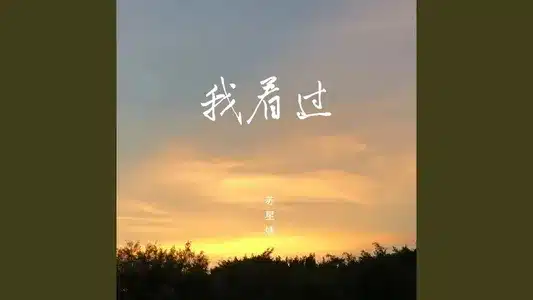 我看过 Lyrics {English Translation} – Xingjie Su