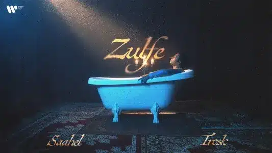 Zulfe Lyrics (English Meaning) | Saahel